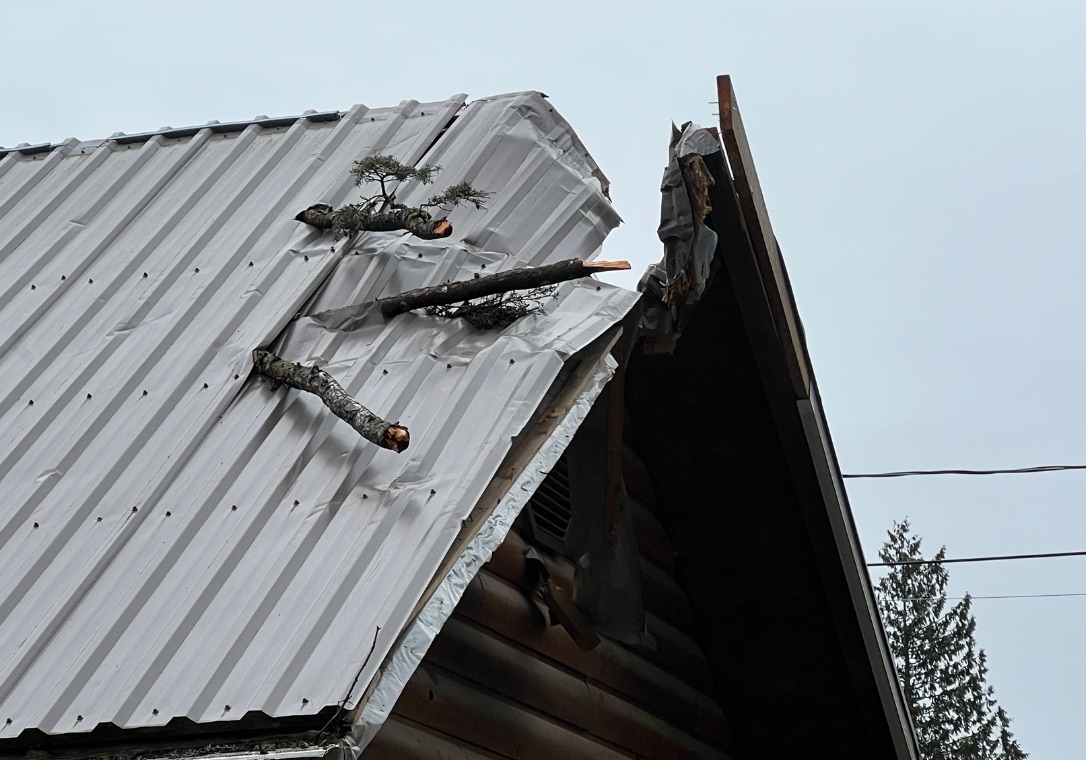 Close-up of roof damage from fallen tree limbs
